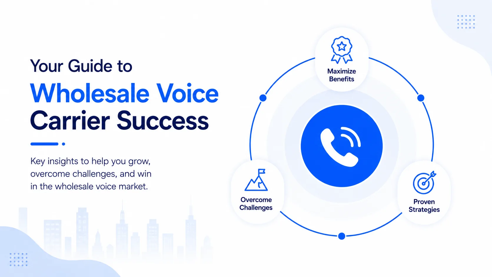 Wholesale Voice Carrier Business
